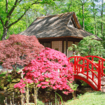 Japanse Tuin